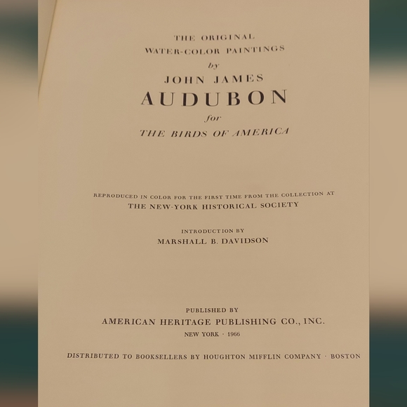 Vintage Bald Eagle Bird Print ~Audubon Print, Illustration, Book Plate Plate 2 - Picture 2 of 3